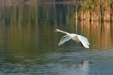 Similar image 21552601