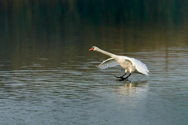 Similar image 21552602