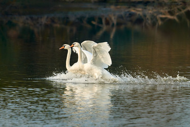 Similar image 21552605