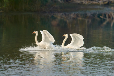 Similar image 21552606