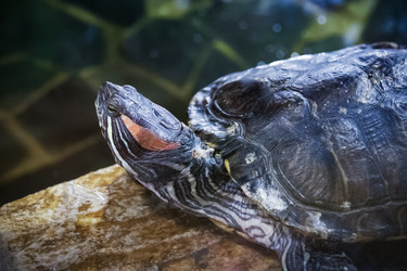 Similar image 21551715