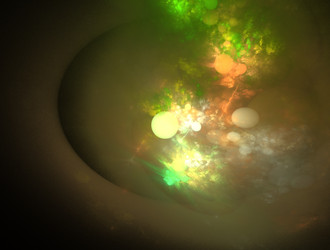 Similar image 21558346