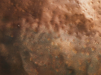 Similar image 21621339