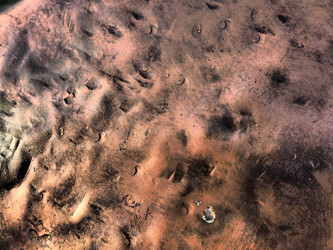 Similar image 21621353