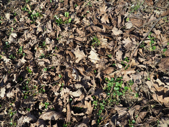 Similar image 21621357