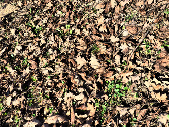 Similar image 21621358