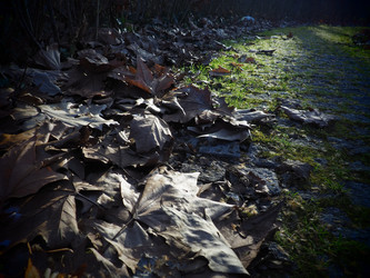 Similar image 21621828