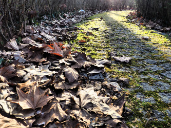 Similar image 21621829