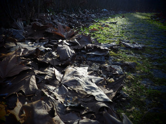 Similar image 21621831