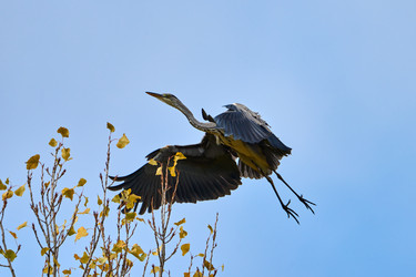 Similar image 21552120