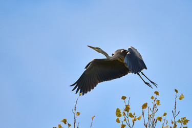 Similar image 21552122