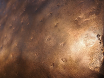 Similar image 21621835