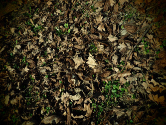 Similar image 21621839