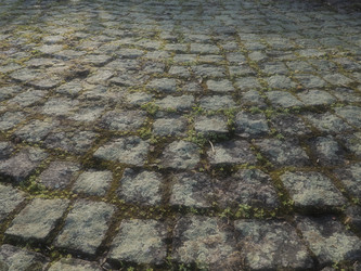 Similar image 21621840