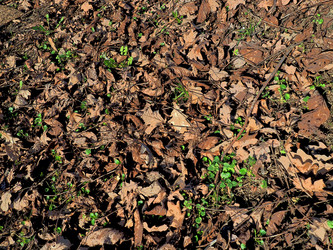 Similar image 21621843