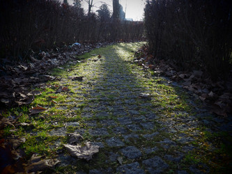 Similar image 21621849