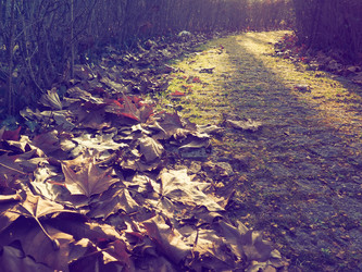 Similar image 21627014