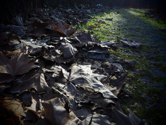 Similar image 21627018