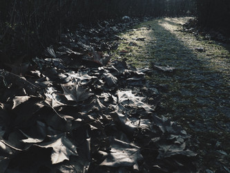 Similar image 21627082