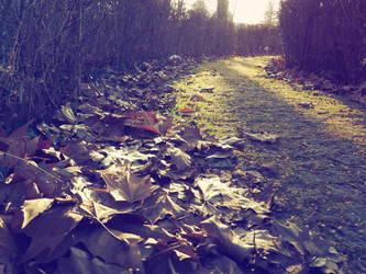 Similar image 21627084