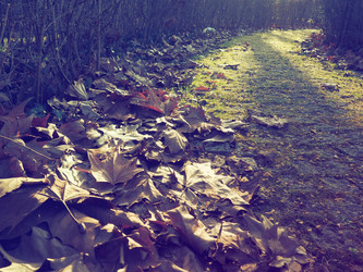 Similar image 21627089