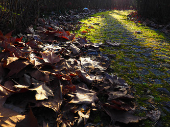 Similar image 21627093