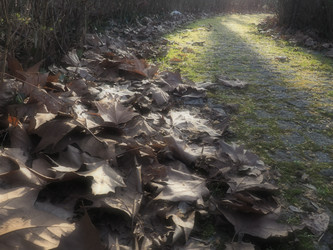 Similar image 21627107