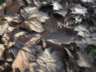 Similar image 21627108