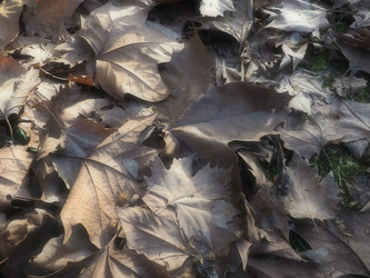 Similar image 21627109