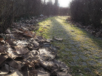 Similar image 21627110