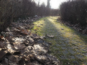 Similar image 21627111