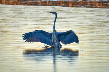 Similar image 21552609