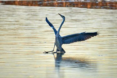 Similar image 21552610