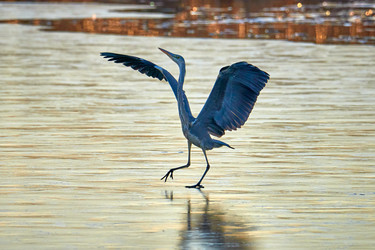 Similar image 21552611