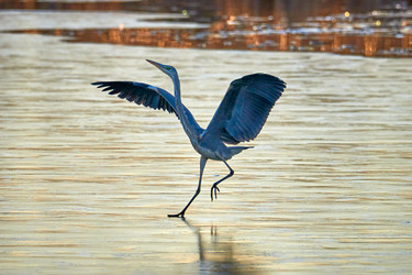 Similar image 21552612