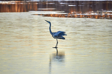 Similar image 21552613