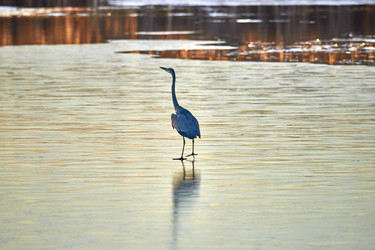 Similar image 21552614