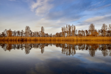 Similar image 21552618