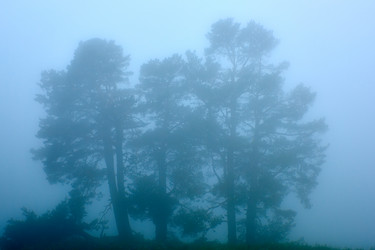 Similar image 21552137