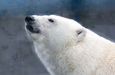 Similar image 21552196