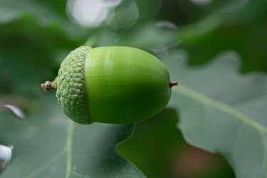 Similar image 21552198