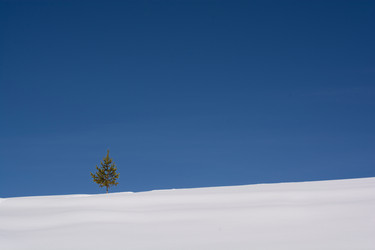 Similar image 21552202