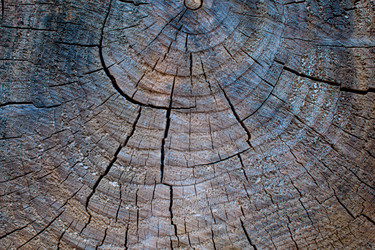 Similar image 21552204