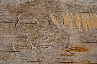 Similar image 21552207