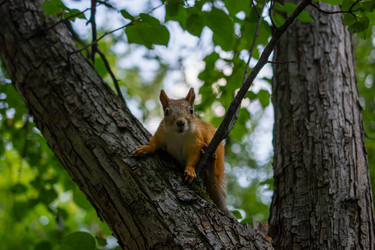 Similar image 21552210