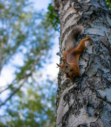 Similar image 21552211