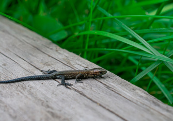 Similar image 21552212