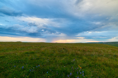 Similar image 21552387