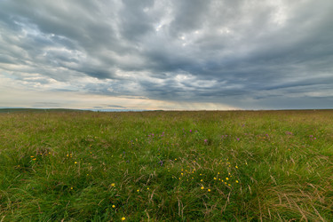 Similar image 21552441