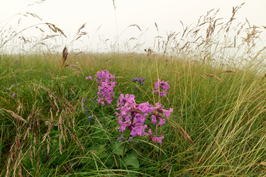 Similar image 21552639